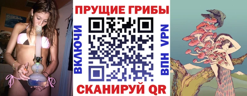 Галлюциногенные грибы мицелий  дарк нет наркотические препараты  Гусиноозёрск 